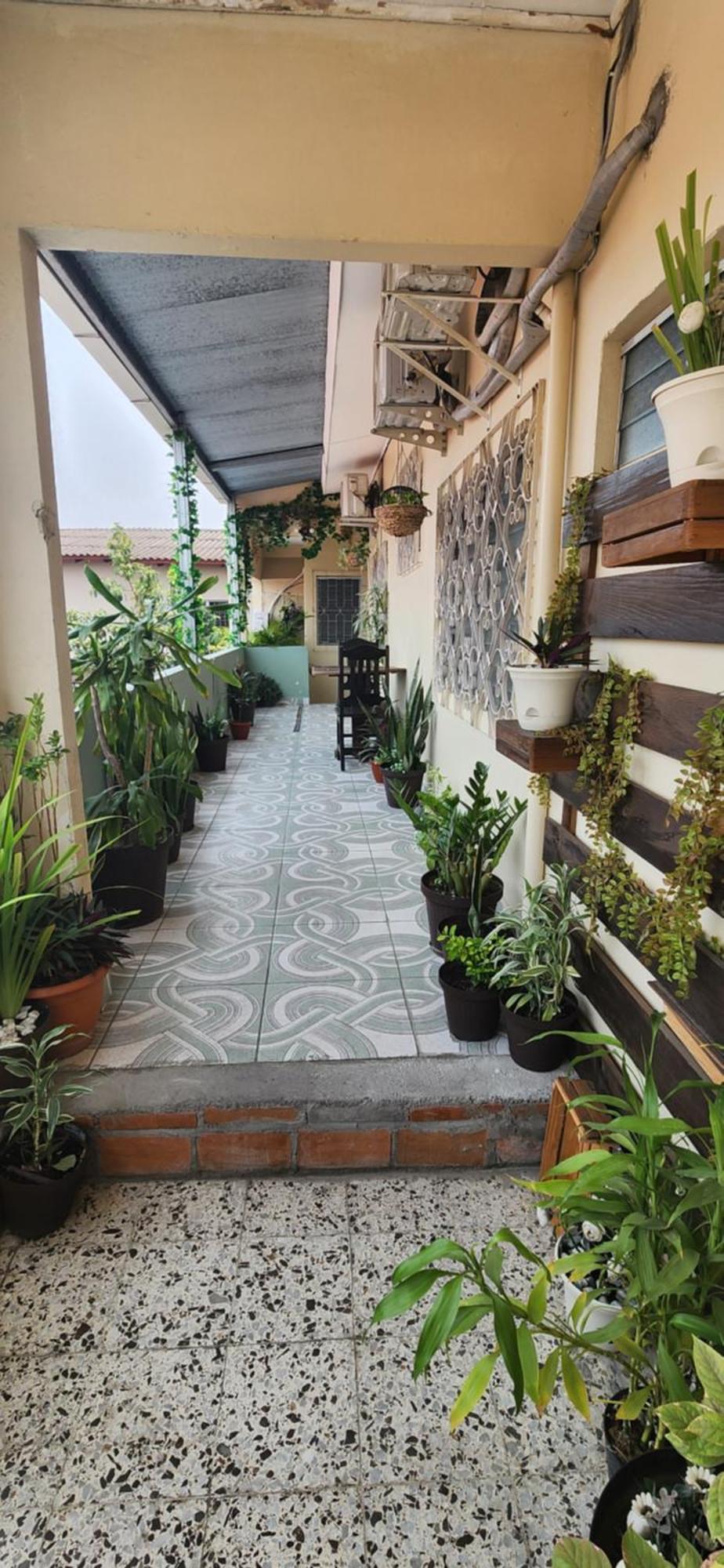 Casa Altamira Hotel San Pedro Sula Eksteriør billede